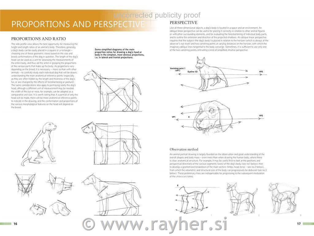 Knjiga Drawing Animals Using Grids